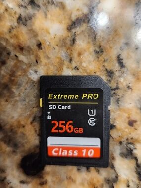 Extreme PRO Class 10 256GB SD Card